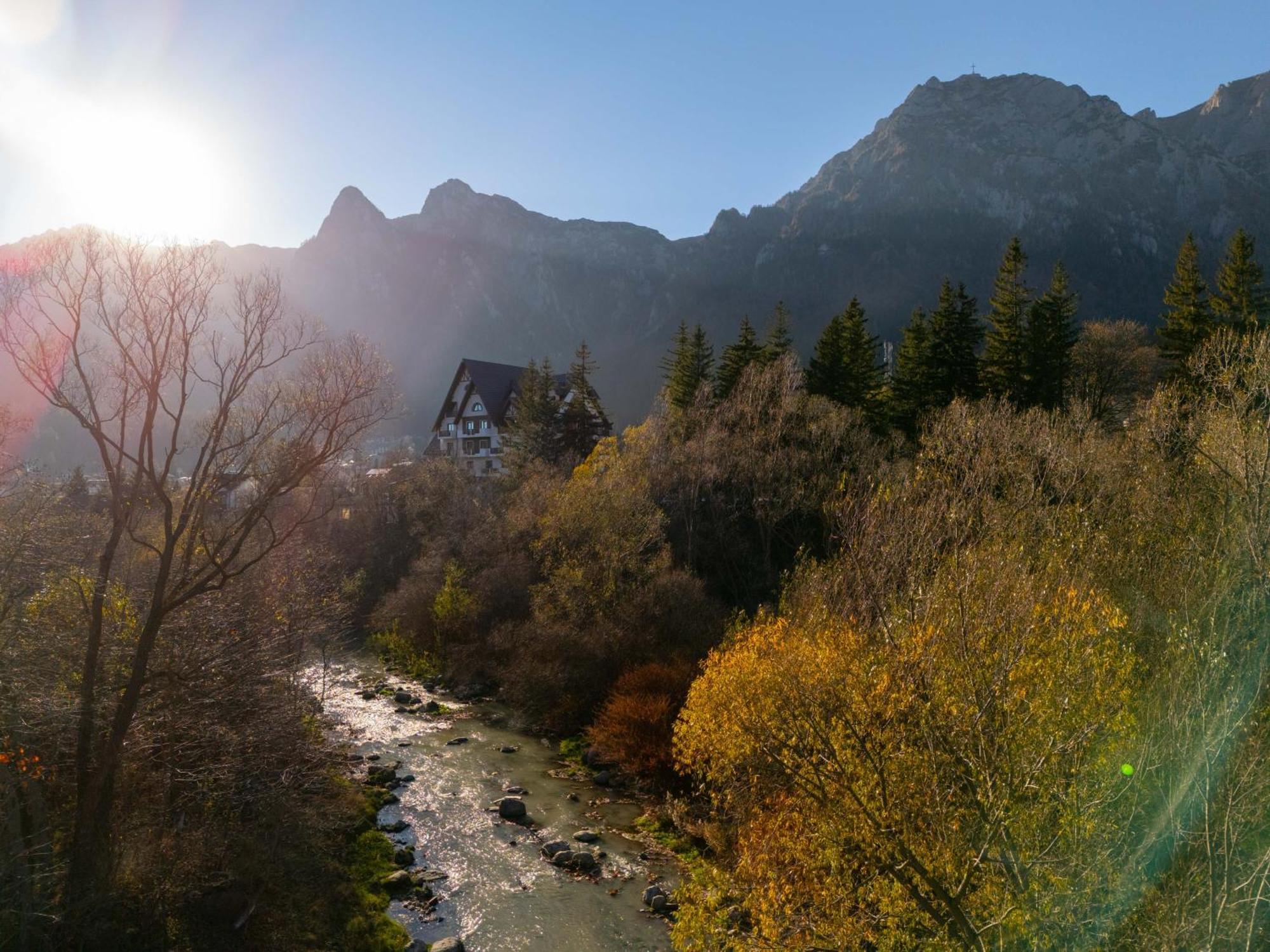 Hotel Valedor Boutique & Spa Buşteni 外观 照片